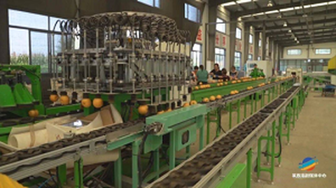 Forum du service d'origine de normalisation des premiers fruits