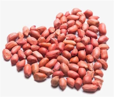 Grosses cacahuètes crues fraîches