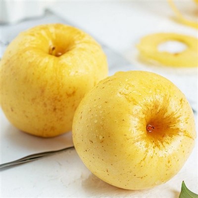 Pomme d'or de Vénus